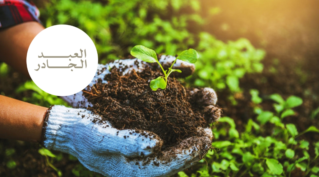 AlAbdul AlJader Farm