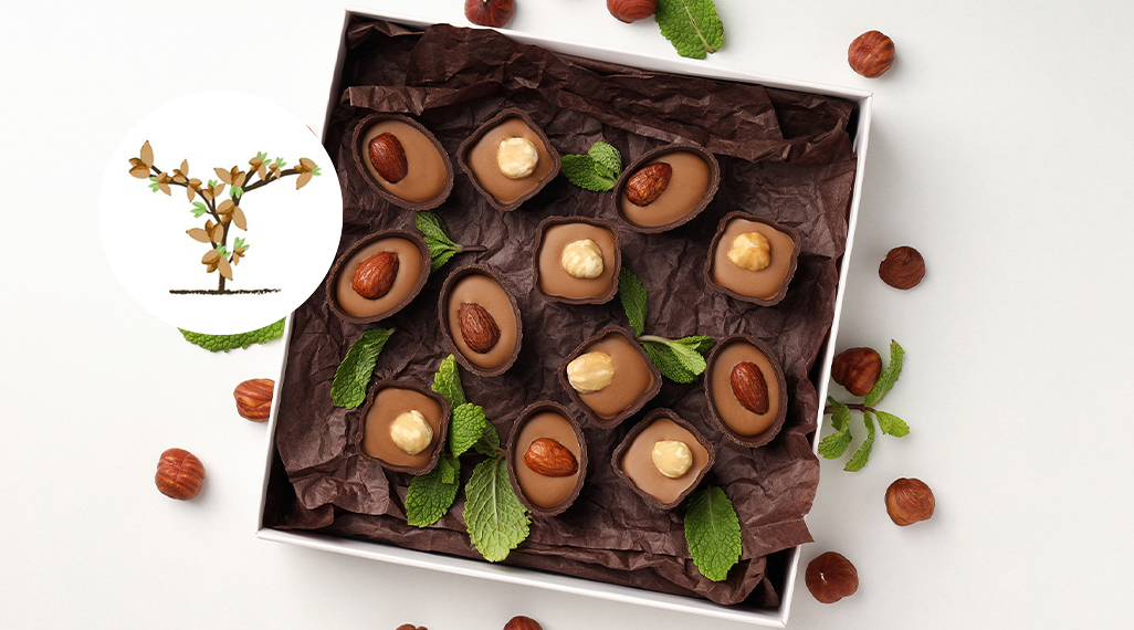 Theobroma Cocoa
