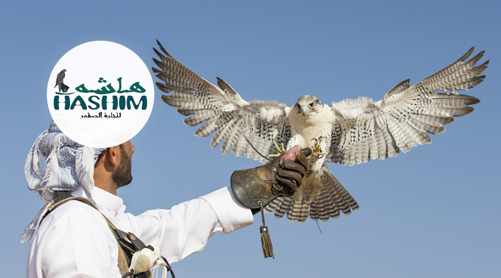 Hashim for Falcon Trade