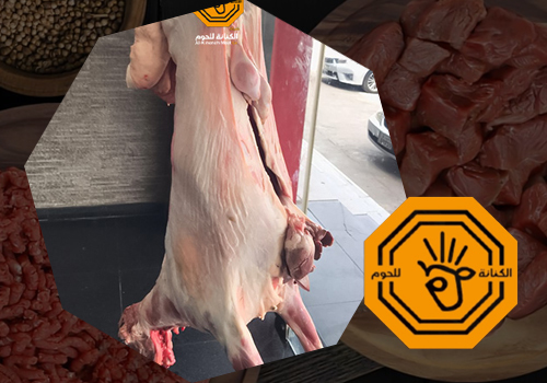 الذبائح