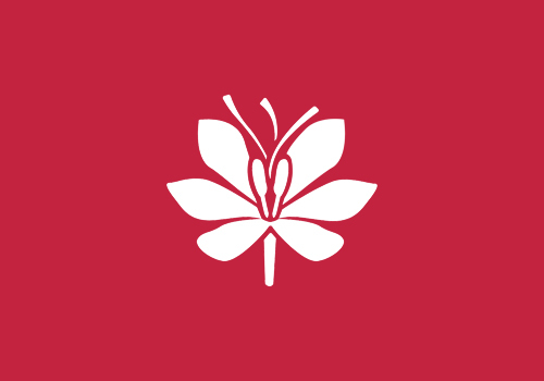 الزعفران