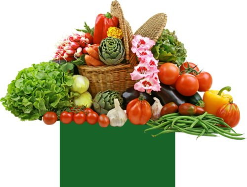 Gilani vegetables Products