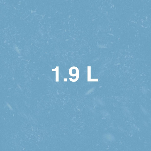 1.9 L
