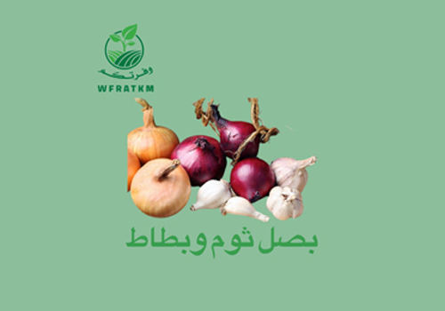بصل ثوم وبطاط