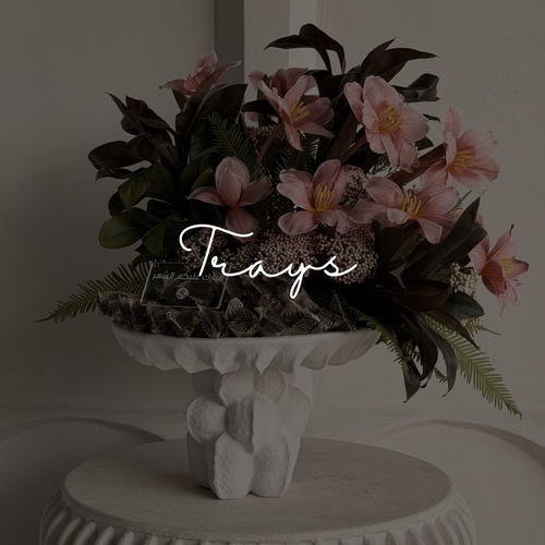 Trays