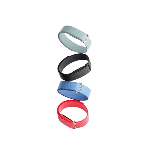 Google Fitbit Air