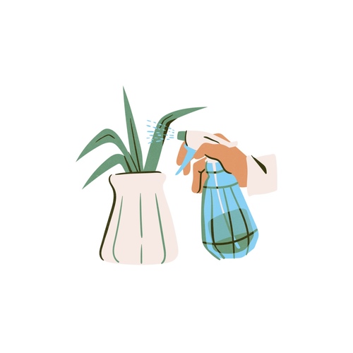 accessories & plants care