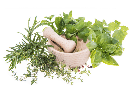Herbs