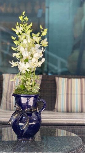 Orchids - White Orchids
 
 Hight : 60 cm  Width : 18 cm  
 ** Disclaimer: The colors of the flowers may vary depending on availability