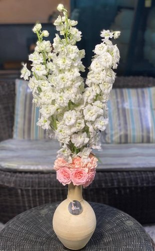 Delphinium + Baby rose - Delphinium + Baby rose 
 Hight : 75 cm width : 15 cm Letter or month of your choice ( please choose a letter or month,not both) ** Disclaimer: The colors of the flowers may vary depending on availability