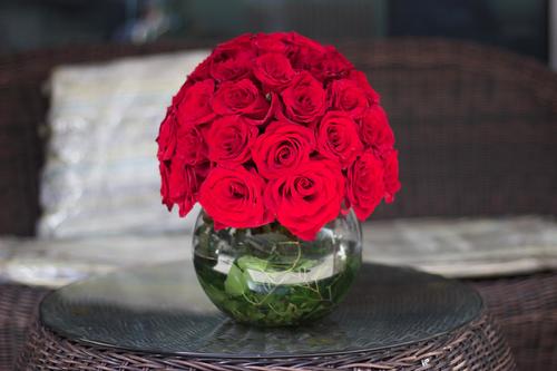 Modern Rose - Modern Rose Consists of 40 red roses