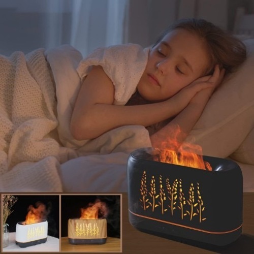 Multifunctional humidifier