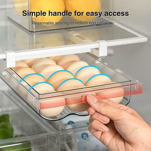Hanging refrigerator shelf with rail