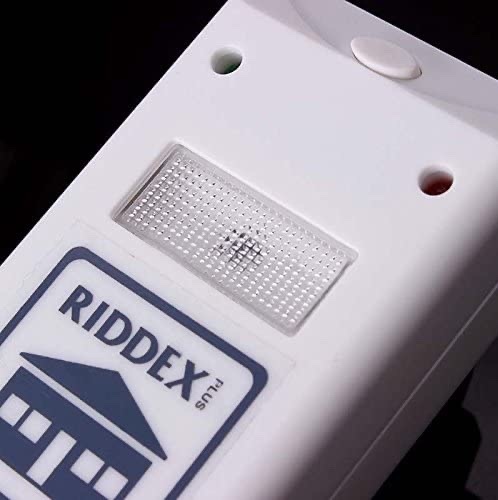 Riddex pest