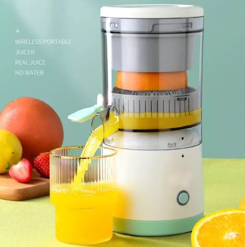 Portable electric juicer