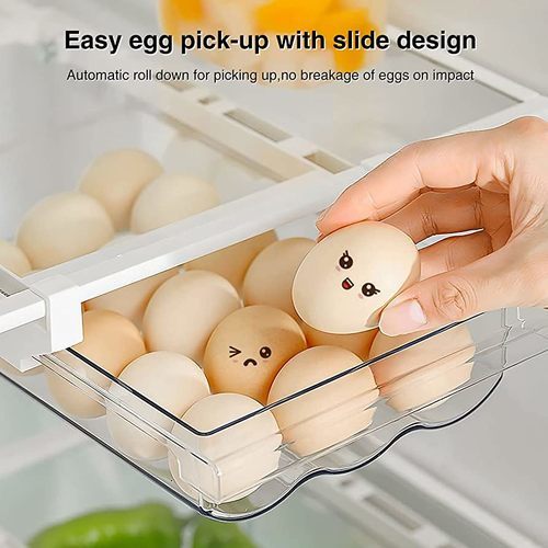 Hanging refrigerator shelf with rail