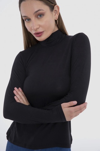 High Neck Long Sleeves Top (V)