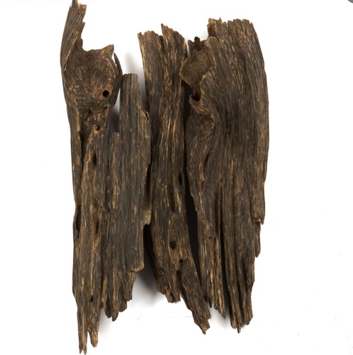 Alkhzam for Oud and Bukhor. - jura doble super - Zora or Jura agarwood, as some call it, is a high grade Indian agarwood from the Nagaland forests characterized by a sweet sweet smell.