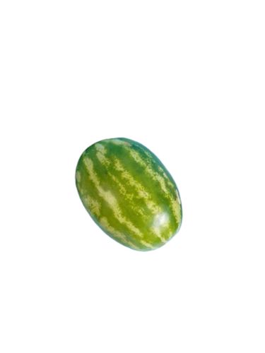 بطيخ بالحبة