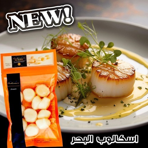 CULIMER FZ RAW SEA SCALLOPS MEAT 500G - The scallops are caught in the wintertime, their taste is complex, at the same time sweet and salty and their texture is delicately creamy. When fresh, they are quite firm and have a pleasant smell but when they are out of the shell they will become softer and lose some of their moisture.
