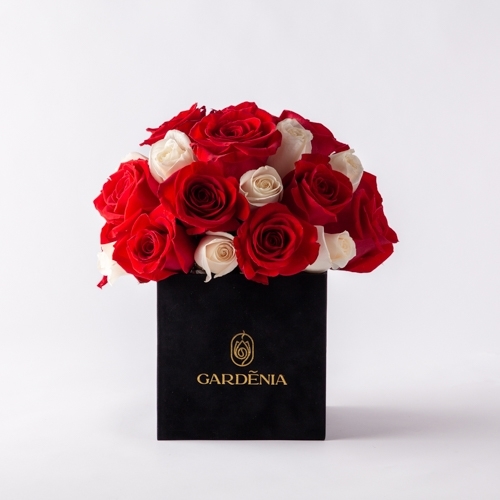 غاردينيا - Box 8 - Beautiful roses 2 colours mix