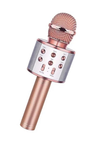 microphone