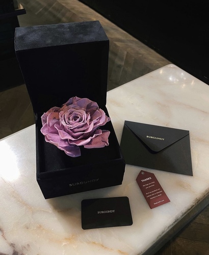 BURGUNDY - Velvet Infinity - Our Infinity Rose with a velvet box.