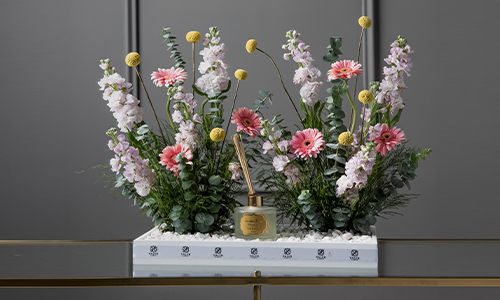 Light Blush - A tray that contains mix of gerbera, matthiola, craspedia and eucalyptus with diffuser.
Height: 50 cm, Width: 48 cm