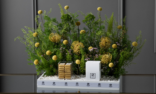 Jaune - A tray that contains pin cushion, craspedia, trachelium and lepidium with chocolate and mubkhar.
Height: 47 cm, Width: 48 cm