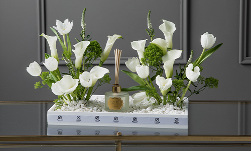 Cielo - A tray that contains mix of calla, veronica, tulips and trachelium with difusser.
Height: 40 cm, Width: 48 cm