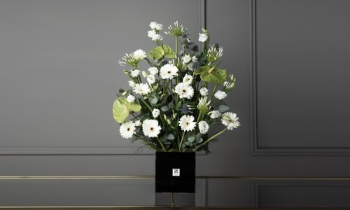 Blanca White - A mix of Gerbera, anthurium, erengium, lisanthus and ornithogalum flowers in a box.
Height: 75 cm, Width: 50 cm