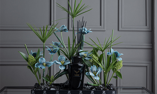 Stefan - The bouquet contains tulips, cyperus and skimia in addition to a diffuser.
Height: 55 cm, Width: 48 cm