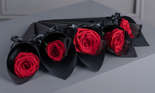 Single Roses in Black - Five roses in red color wrapped separately with black wrapping