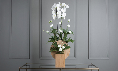 Penelope Bouquet - A luxurius stand contains orchid plant, lesanthus and philodendron leaves.
Height: 165 cm, Width: 50 cm