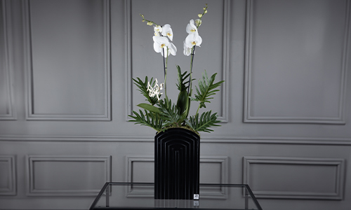 Felicitat - Luxurius stand that contains Orchid plant.
Height:110 cm, Width: 50 cm