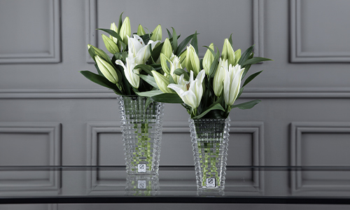 Valer - Kalipay II - A set of two luxuius vases that contains casablanca.
Height: 50 cm Width: 50 cm