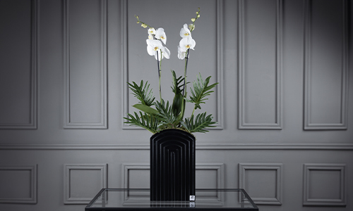 Felicitat - Luxurius stand that contains Orchid plant.
Height:110 cm, Width: 50 cm