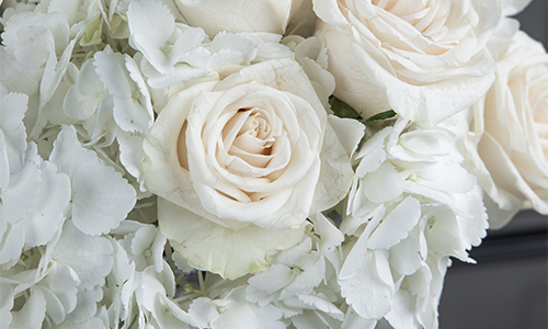 كاليقايا II