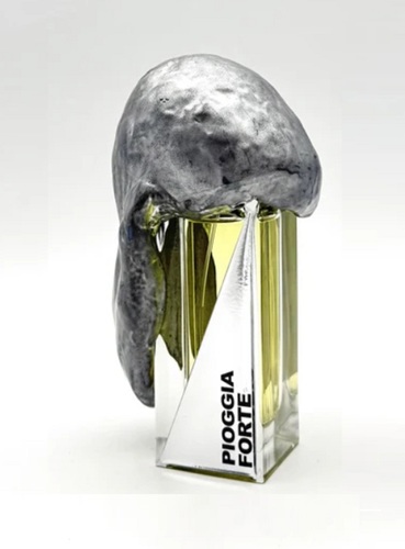 Pioggia Forte - Top notes are Gardenia and Rose;  middle notes are Geranium, Cyclamen, Jasmine and Sea Notes;  base notes are Precious Woods, Benzoin, Amber and Moss.