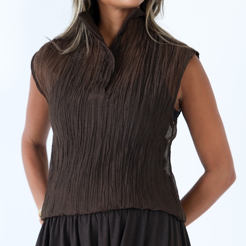 Pleated brown Top