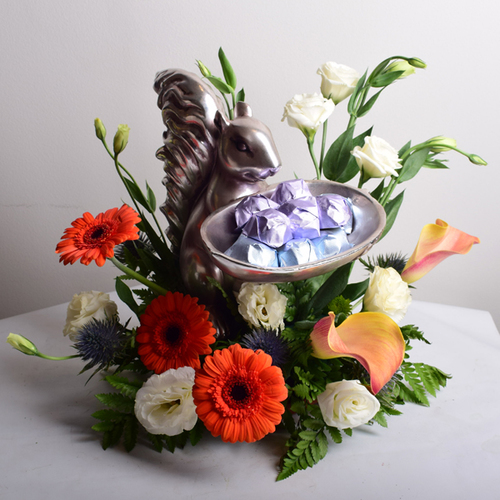 bon appetit 15 - Squirrel
  with tray of chocolates decorated with fresh gerbera, calla and roses flowers