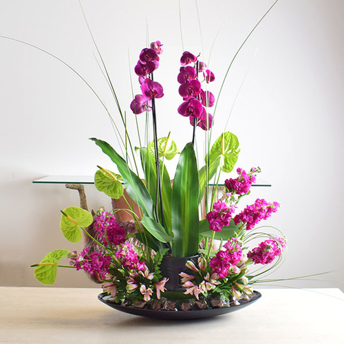 someone special 11 - fresh
  purple phanaelopsis plant on a ceramic face vase with a decoration of fresh
  matola and anthorium flowers with chocolates.