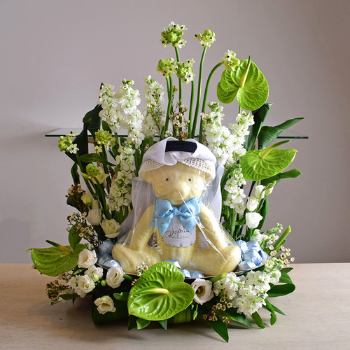 Ghutra Gift - Ghutra
  Gift on a baby boy chocolate Teddy Bear 
  with a decoration of fresh anthorium, lisianthus, wax flower and
  matola flowers on a tray with chocolates.