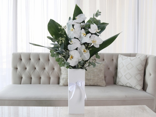 Mateo - This bouquet contains a mix of orchid cut flowers, limonium, eualyptus and mix of leaves.
Height: 70 cm, Width: 40 cm