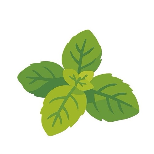 Mint Tea