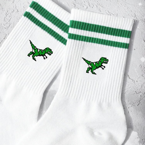 A pair of T-Rex socks