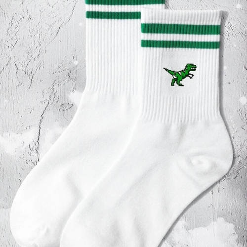A pair of T-Rex socks