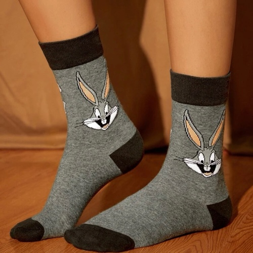 Two pairs of Loony Tunes socks