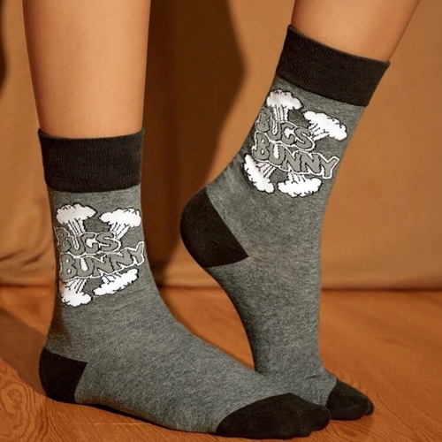 Two pairs of Loony Tunes socks