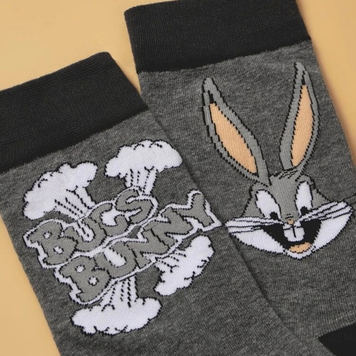 Two pairs of Loony Tunes socks